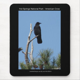 Hots Springs National Park, AR - American Crow Mouse Mat