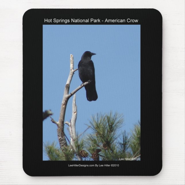 Hots Springs National Park, AR - American Crow Mouse Mat (Front)