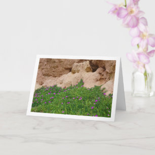 Hottentot Fig, Ice Plant in Canyon Card