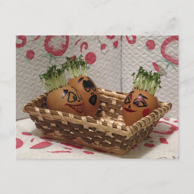 Hottub For Eggmen Friends Funny Easter Postcard (Front)