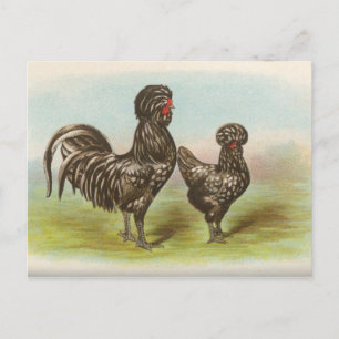 Houdans Postcard