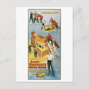 Houdini ~ Buried Alive Vintage Escape Artist Postcard
