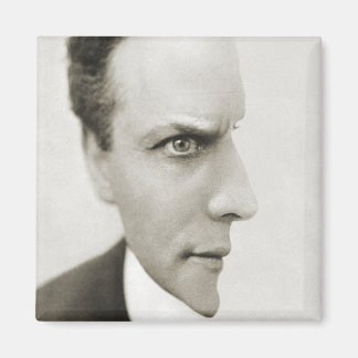 Houdini Optical Illusion Magnet