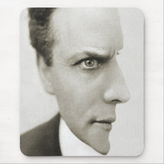 Houdini Optical Illusion Mouse Mat