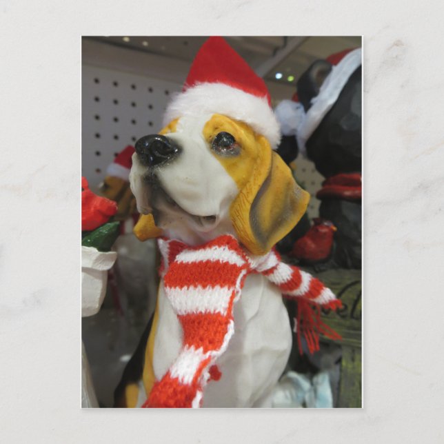 Hound Decoration Postcard (Front)