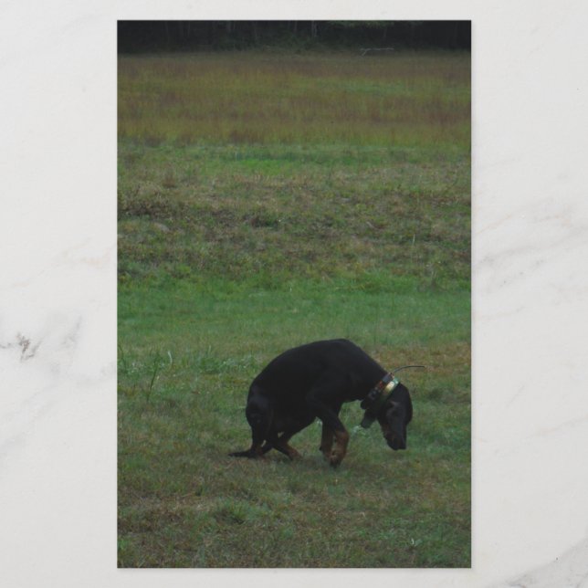 Hound dog giving up the chase stationery (Front)