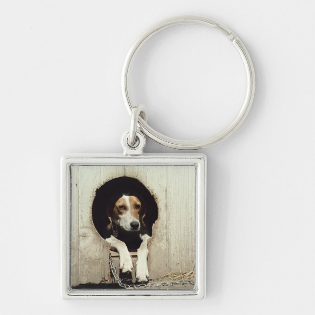 Hound dog in dog house key ring (Front)