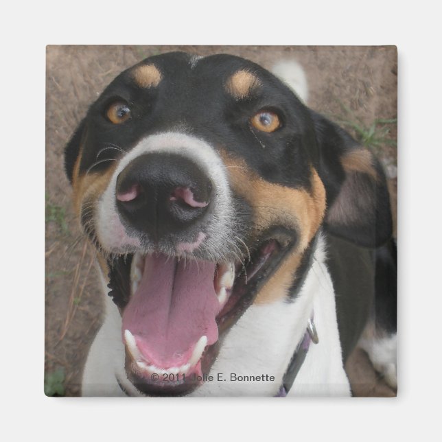 Hound Dog Magnet (Front)