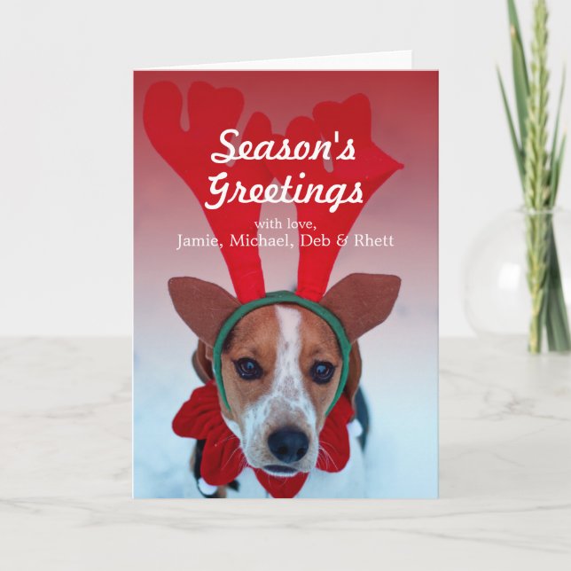 Hound dog sitting in the snow wearing reindeer holiday card (Front)