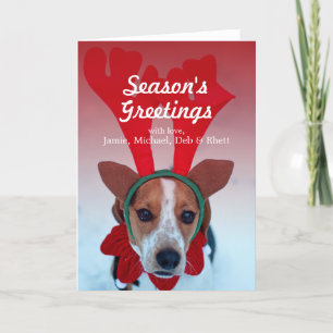 Hound dog sitting in the snow wearing reindeer holiday card