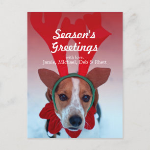 Hound dog sitting in the snow wearing reindeer postcard
