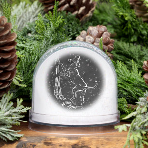 Hound Dog Snow Globe Custom Hunting Dog Snow Globe