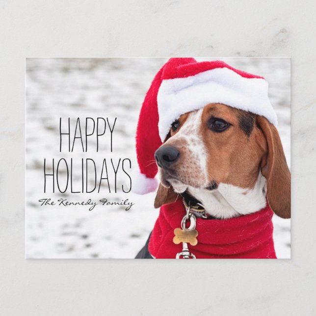 Hound dog wearing a winter coat and a Christmas Holiday Postcard (Front)