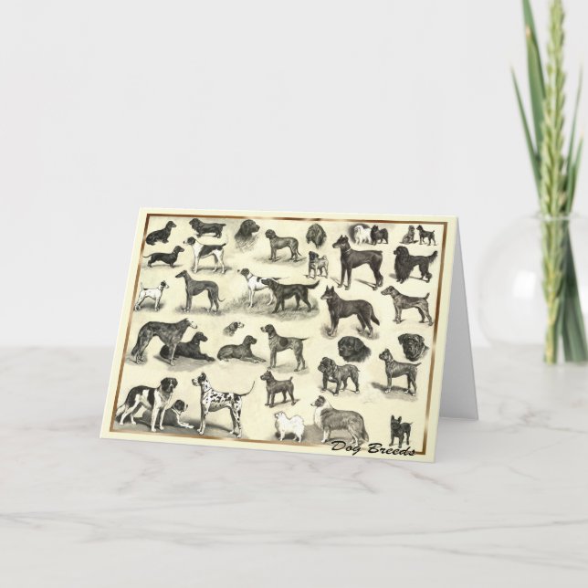Hounds - Dog Breeds for Dog lovers canine hound Card (Front)