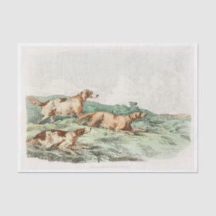 Hounds from Sporting Sketches (1817-1818) by Henry Tissue Paper
