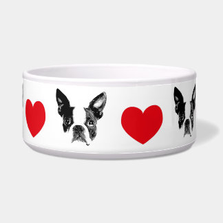 Hour apf Boston Terrier