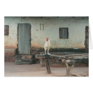 House #11, Gambia Village Series