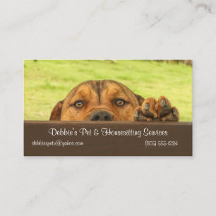 House and Pet Sitting Business With Cute Dog Business Card