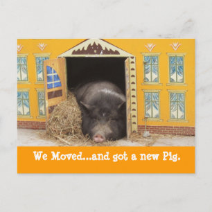 House and Pig We Moved New Address Cards