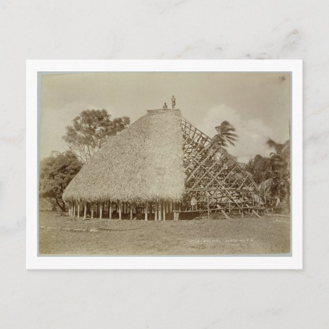 House Building in Samoa, c.1875 (sepia photo) Postcard (Front)