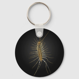 House Centipede Scutigera Coleoptrata Key Ring