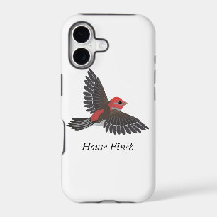 House Finch
