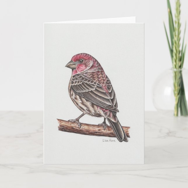 House Finch Art Card (Front)