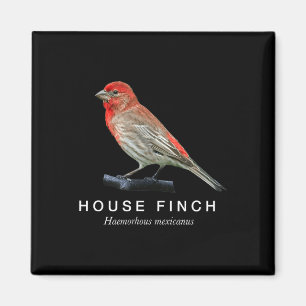 House finch birdwatching graphic red songbird magnet