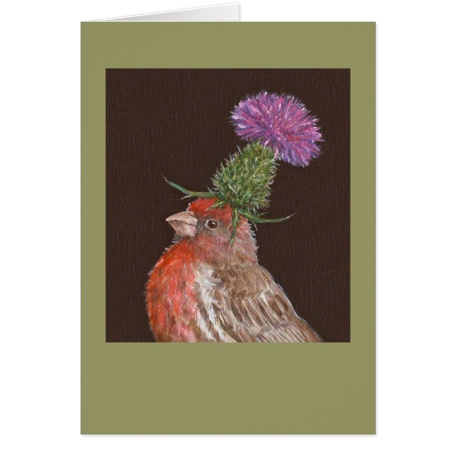 house finch card, Tucker (Front)