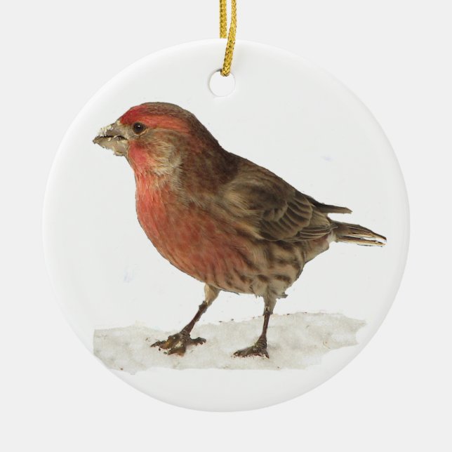House Finch Ceramic Tree Decoration (Front)