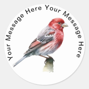 House Finch Classic Round Sticker