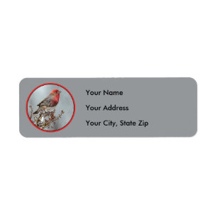 House Finch in Snow - Original Photograph