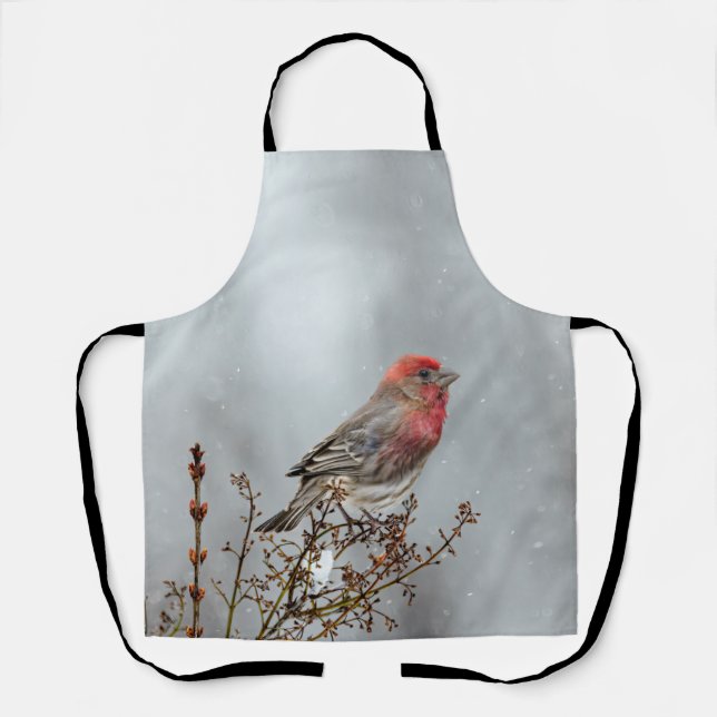 House Finch in Snow - Original Photograph Apron (Front)