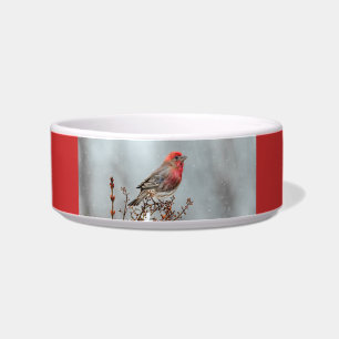 House Finch in Snow - Original Photograph Bowl