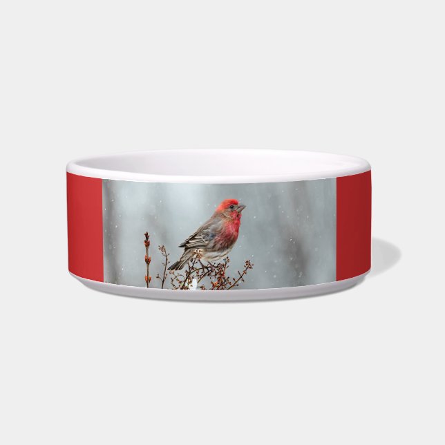 House Finch in Snow - Original Photograph Bowl (Right)