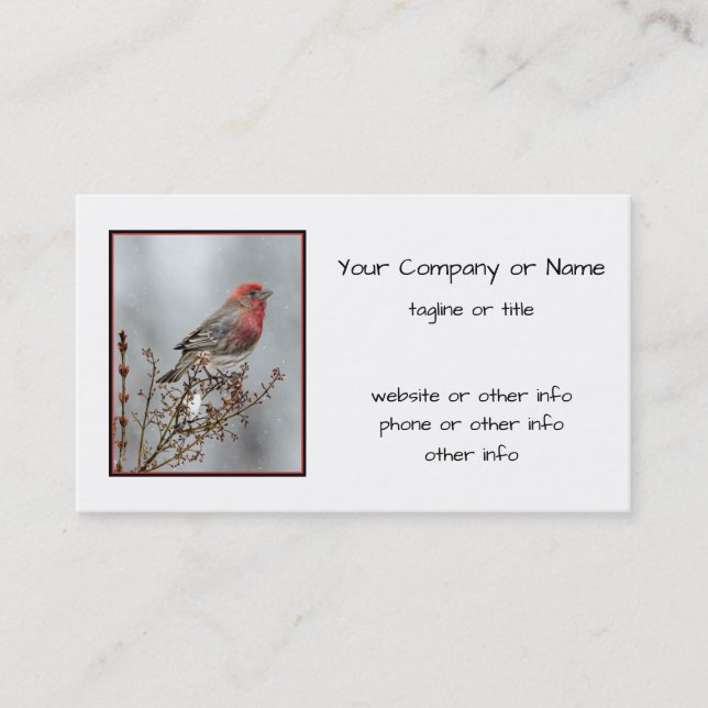 House Finch in Snow - Original Photograph Business Card (Front)