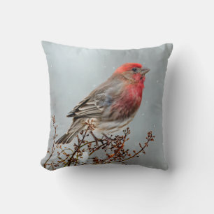 House Finch in Snow - Original Photograph Cushion