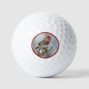 House Finch in Snow - Original Photograph Golf Balls