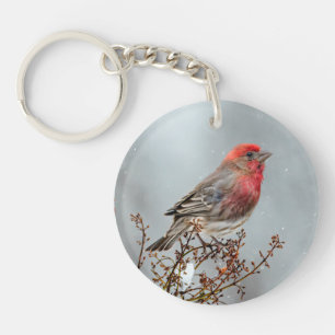 House Finch in Snow - Original Photograph Key Ring