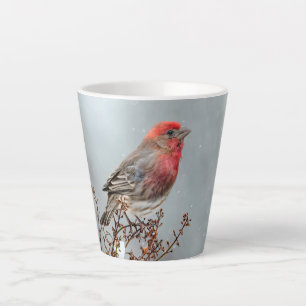 House Finch in Snow - Original Photograph Latte Mug
