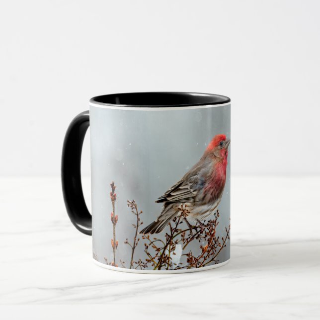 House Finch in Snow - Original Photograph Mug (Front Left)