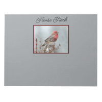 House Finch in Snow - Original Photograph
