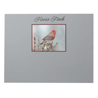 House Finch in Snow - Original Photograph Notepad