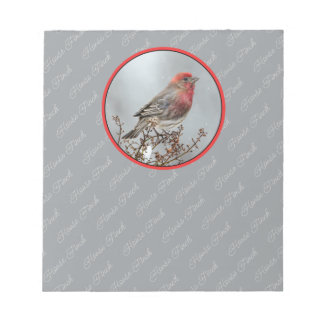 House Finch in Snow - Original Photograph Notepad
