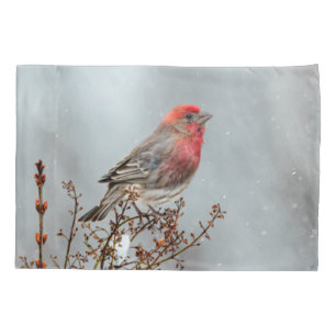 House Finch in Snow - Original Photograph Pillowcase