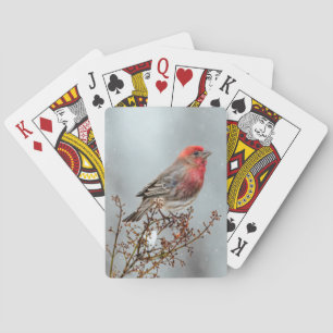 House Finch in Snow - Original Photograph Playing Cards