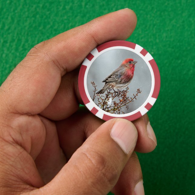 House Finch in Snow - Original Photograph Poker Chips (Hand)