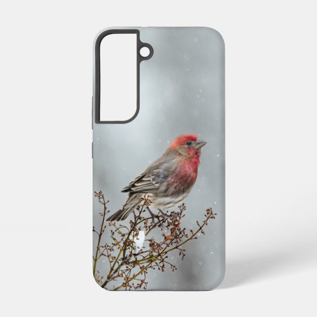 House Finch in Snow - Original Photograph Samsung Galaxy S22 Case (Back)