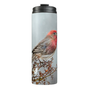 House Finch in Snow - Original Photograph Thermal Tumbler