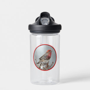 House Finch in Snow - Original Photograph Water Bottle